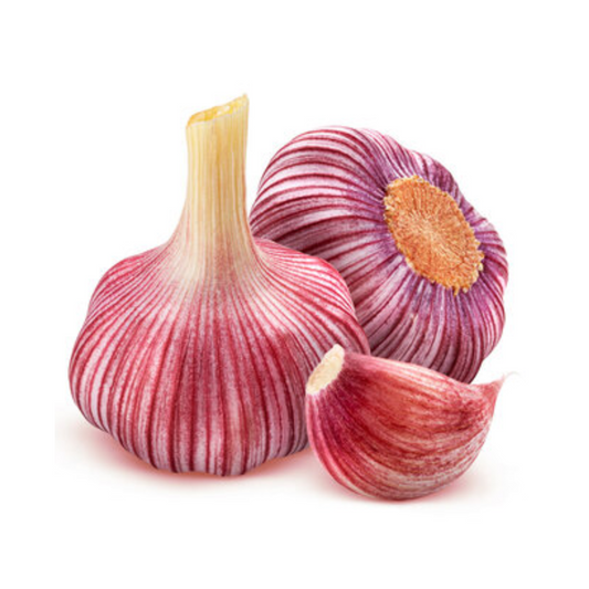 PURPLE GARLIC