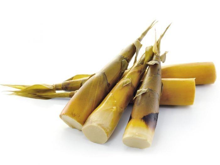 BAMBOO SHOOTS