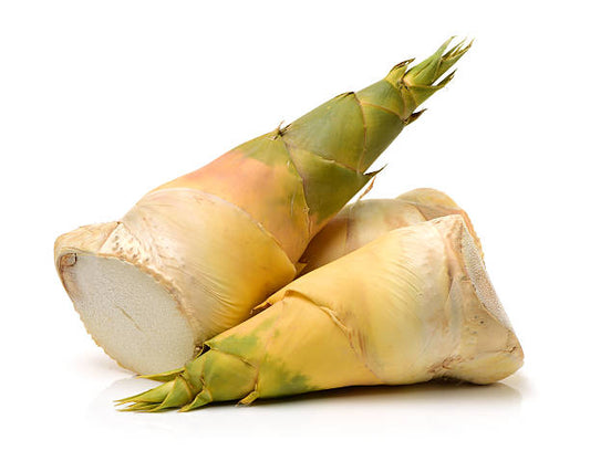 BAMBOO SHOOTS