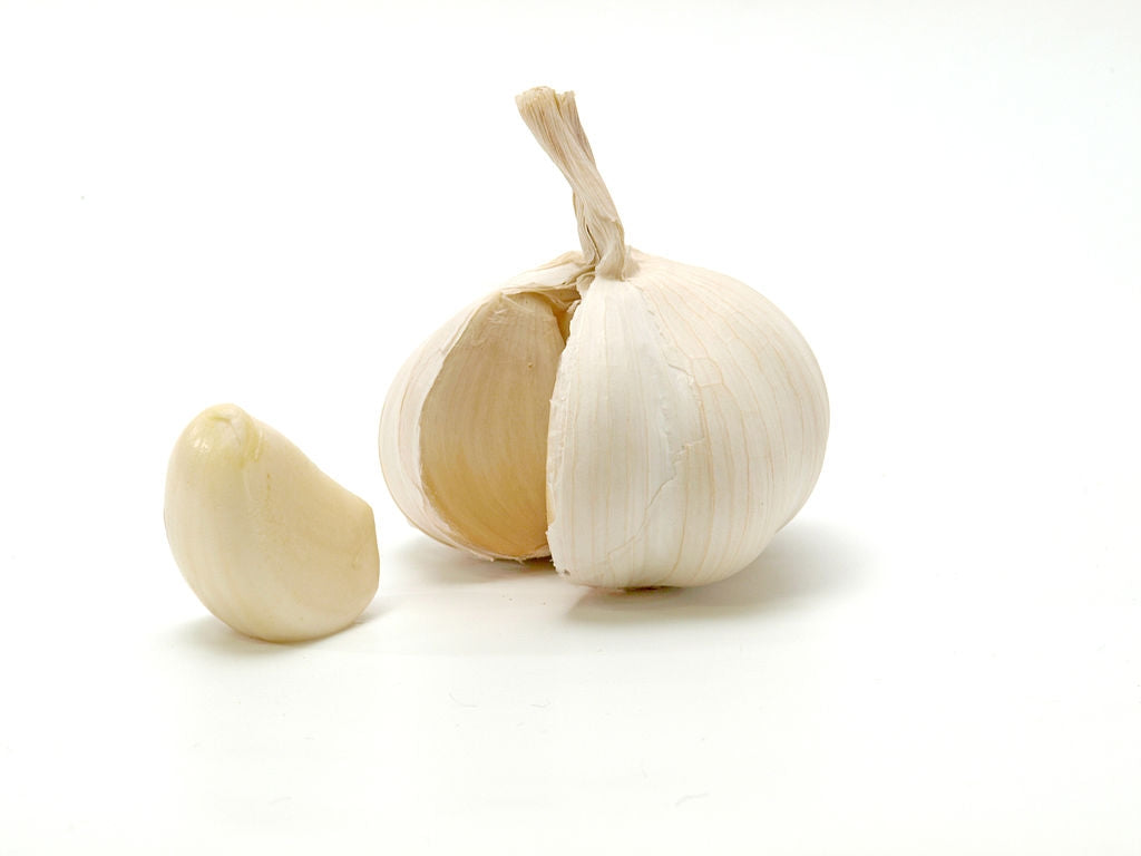 GARLIC