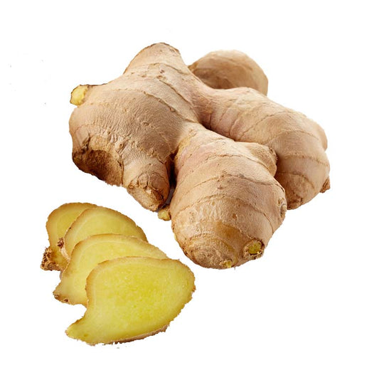 GINGER