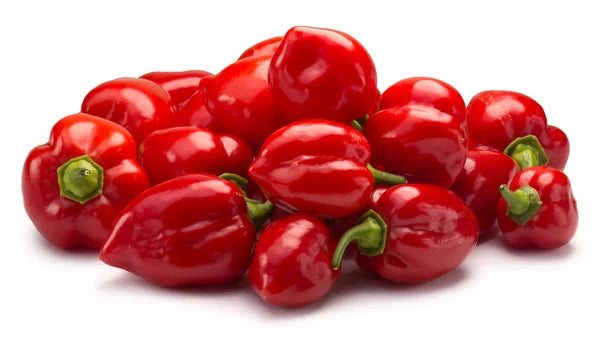 PEPPER HABANERO RED