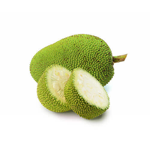 JACKFRUIT