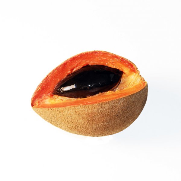 MAMEY - SAPOTE