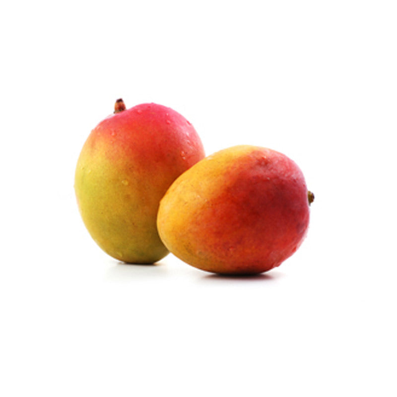 MANGO KENT