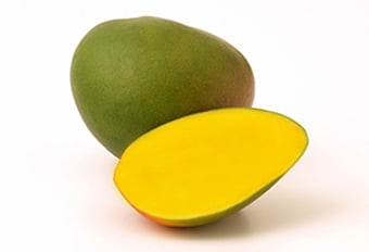 MANGO KENT