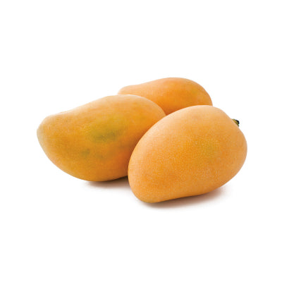 MANGO MINGOLO
