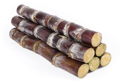 SUGAR CANE - PURPLE
