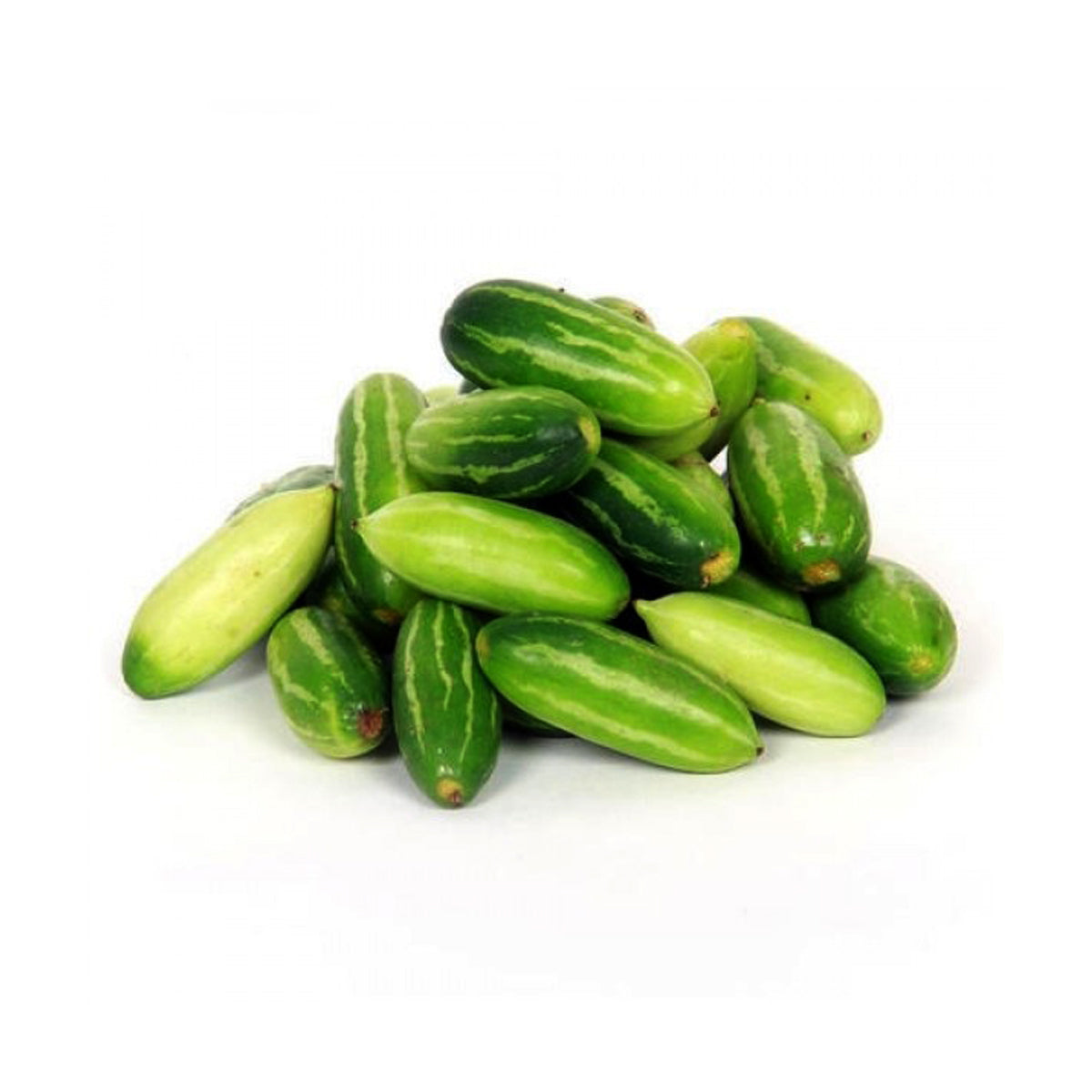 TINDORA