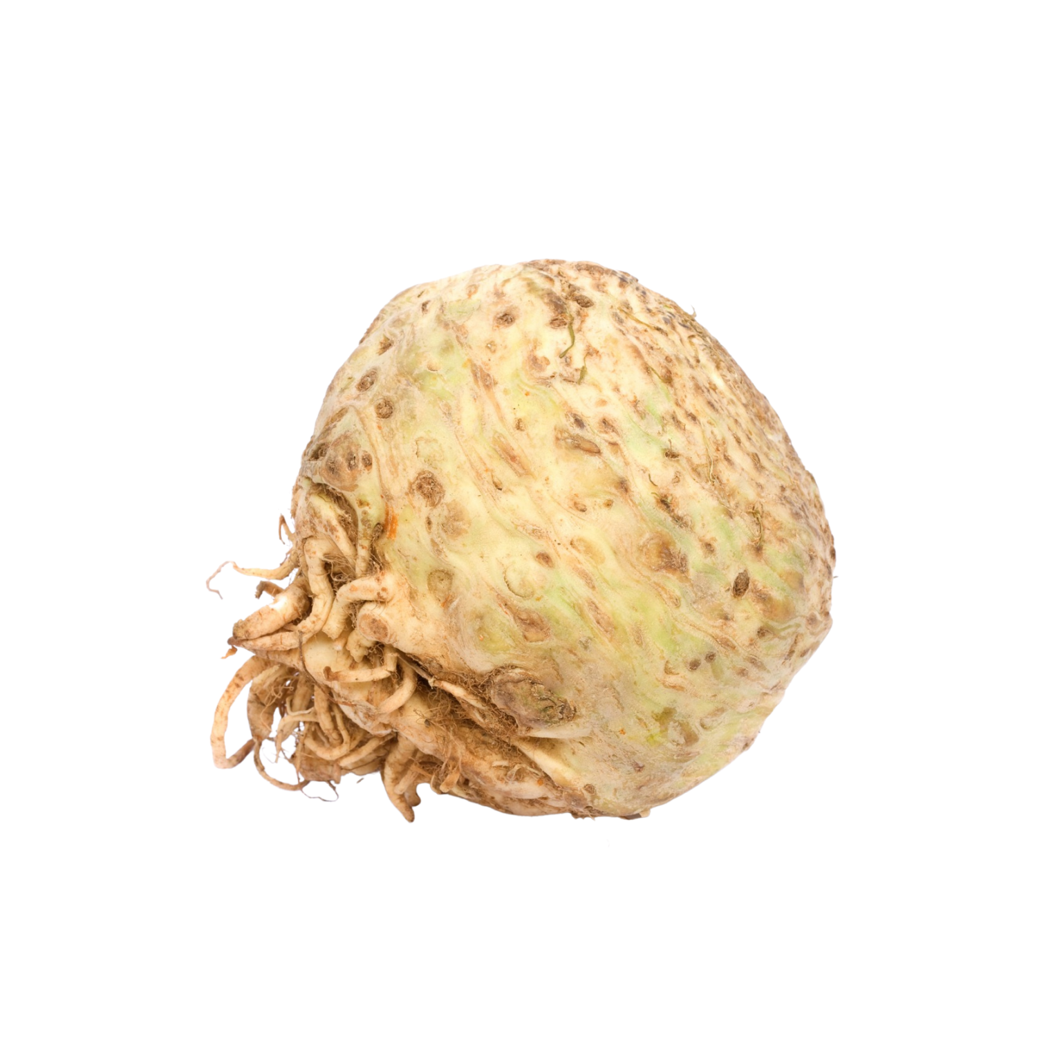 Apyo Root Crop APIO ROOT – Villar